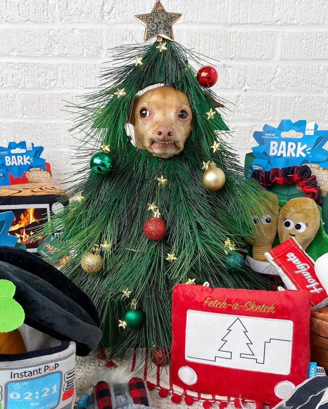 Tuna {breed:chiweenie} さんのインスタグラム写真 - (Tuna {breed:chiweenie} Instagram)「The howlidays are fast approaching. Thank goodness we already had the Tuna-Tree up because Christmas came early to our house! We got Tuna's doggy friends adorable gifts from the @Bark Mutts Have Holiday Gifts collection, exclusively @Petsmart #ad If you have Air Pawds, Pawlaroid Cameras, Goodboy Game Systems and Instant Pups on your list, you're in luck! Run on over to the link in Tuna's bio to nab them all before they're GONE!」11月20日 5時09分 - tunameltsmyheart