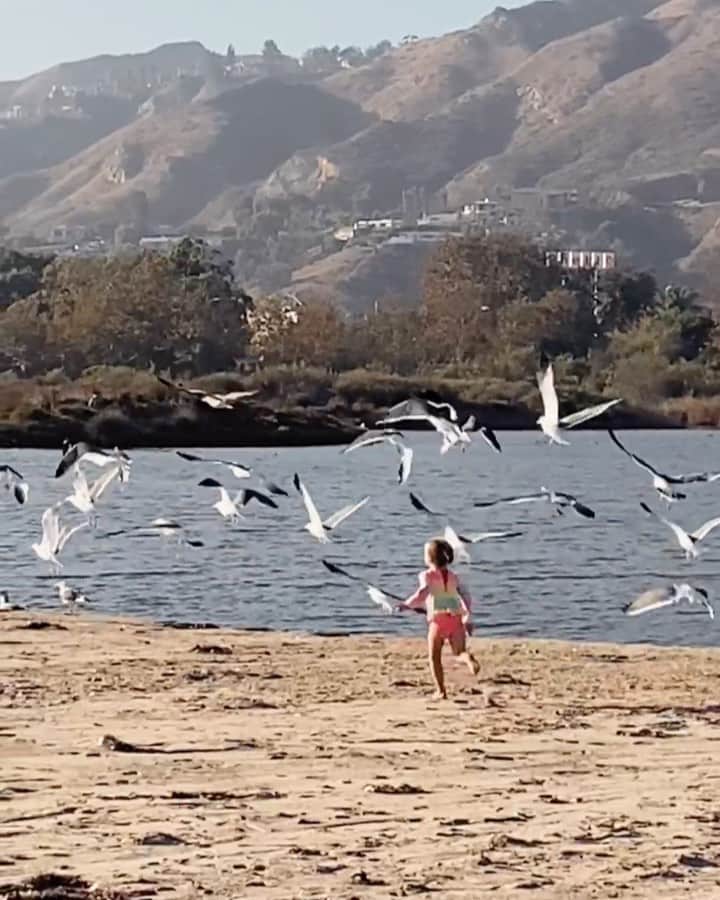 ストーミ・ヘンレイのインスタグラム：「On this episode of seagull hunters...」