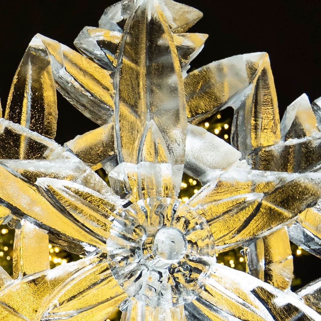 ニューヨーク植物園のインスタグラム：「With lots of room to spread out, explore an outdoor world of color and light during NYBG GLOW, featuring newly announced pop-up performances by the @hiphopnutcracker, live ice sculpting, and much more. . These special evening events kick off November 27, but don't wait to get your tickets—many entry times are already sold out. Hit the link in our bio to get yours now, and join us for this all-new outdoor experience illuminating the Garden's landmark landscape. . #plantlove #AllInNYC」