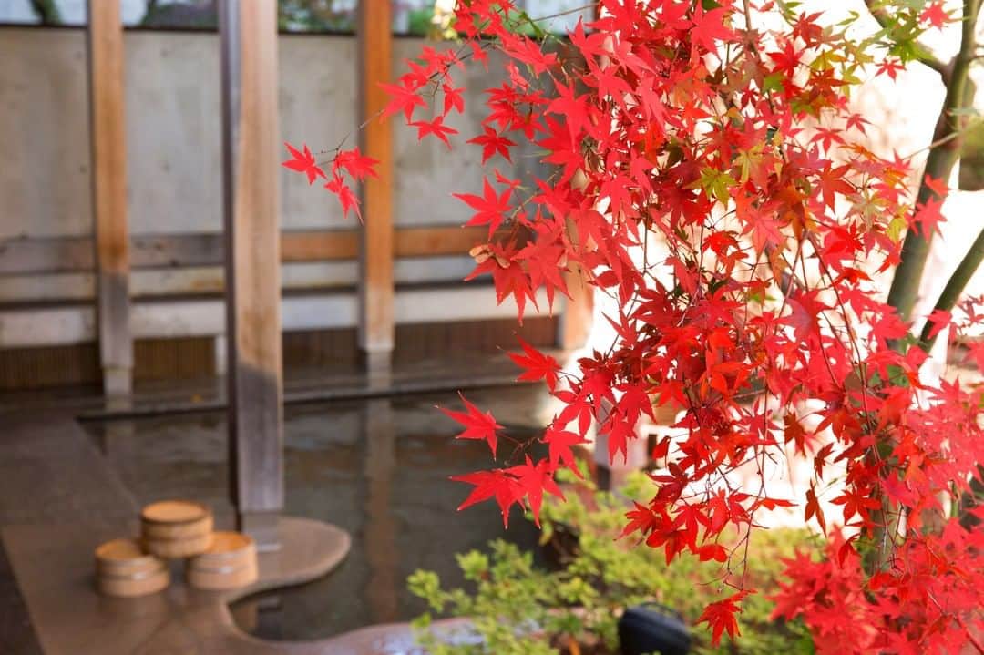 星野リゾート 界の若者旅さんのインスタグラム写真 - (星野リゾート 界の若者旅Instagram)「界 松本で味わえる「浅間温泉」は日本書紀に登場する「束間 温泉（つかのまのゆ） 」ではないかと言われている、 約1300年の歴史を持つ温泉です。  江戸時代には松本城主が御殿を構え、松本の奥座敷とも呼ばれた地域で、城主だけでなく庶民や、善光寺参拝の途中に立ち寄る旅人にも身近な温泉だったようです。  #hoshinoresorts #kaimatsumoto #星野リゾート #界松本 #浅間温泉 #松本 #温泉旅館 #温泉 #奥座敷」11月20日 12時00分 - hoshinoresorts.kai