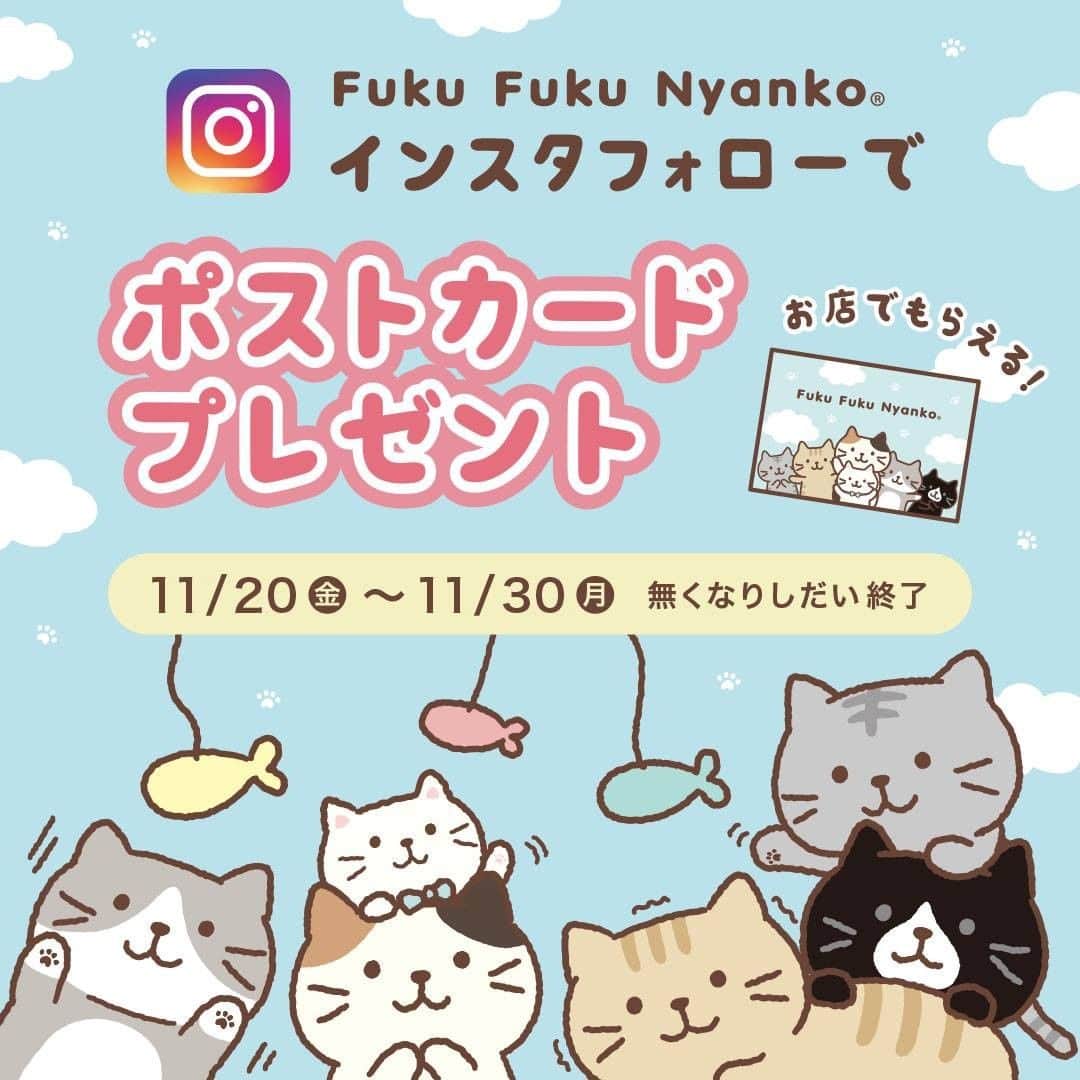 HAPiNSさんのインスタグラム写真 - (HAPiNSInstagram)「🎁プレゼントキャンペーン🎁  Fuku Fuku Nyanko(ふくふくにゃんこ)の インスタアカウントをフォローして、 レジにてご提示いただくと 数量限定ポストカードをプレゼント!  すでにフォロワーの方も対象です✨  詳細はコチラ↓  ■ 参加方法 ■  1. ふくふくにゃんこ公式アカウントをフォロー ⇒( @fukufukunyanko_official )  2. 店舗レジにてフォロー画面をご提示ください。  ■ 期間 ■ 11/20～11/30(無くなりしだい終了)  ■ 「ふくふくにゃんこ」って？ ■ 2015年に登場したハピンズオリジナルの ねこのキャラクター。  ふくふくやわらかボディには 幸せがいっぱいつまっています❤️  店舗でもふくにゃんアイテムは大好評! ぜひ癒されに来てくださいね😆  -------------------------------------------------------  ふくにゃんファンはこちらもチェック!😸  🟨公式HP　 ：https://fukufukunyanko.com/ 🟦公式Twitter：@fukufuku_nyanko  🟩LINEスタンプ https://store.line.me/stickershop/product/1857259/ja https://store.line.me/stickershop/product/10631735/ja?from=sticker  -------------------------------------------------------  #ハピンズ公式 #ハピンズオリジナル #ギフト雑貨のハピンズ #雑貨 #雑貨屋 #プチプラ #ギフト #プチギフト #kawaii #アニマル #animal #おうち時間 #ひとり暮らし #ねこすたぐらむ #にゃんすたぐらむ #fukufukunyanko #ふくふくにゃんこ #ふくふくにゃんこ集会 #ネコ #ねこ #キャンペーン #プレゼント #ポストカード」11月20日 12時00分 - hapins_official