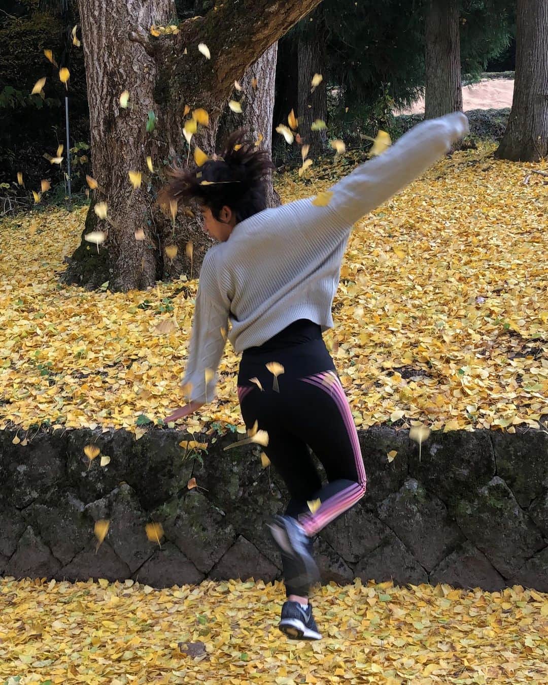 エマ中岡優姫のインスタグラム：「𓀠イチョウの舞𓀤 推定600年のイチョウの木の下で🌳 なんかむっちゃ 楽しかった🤣👏 #イチョウ  #自然  #」