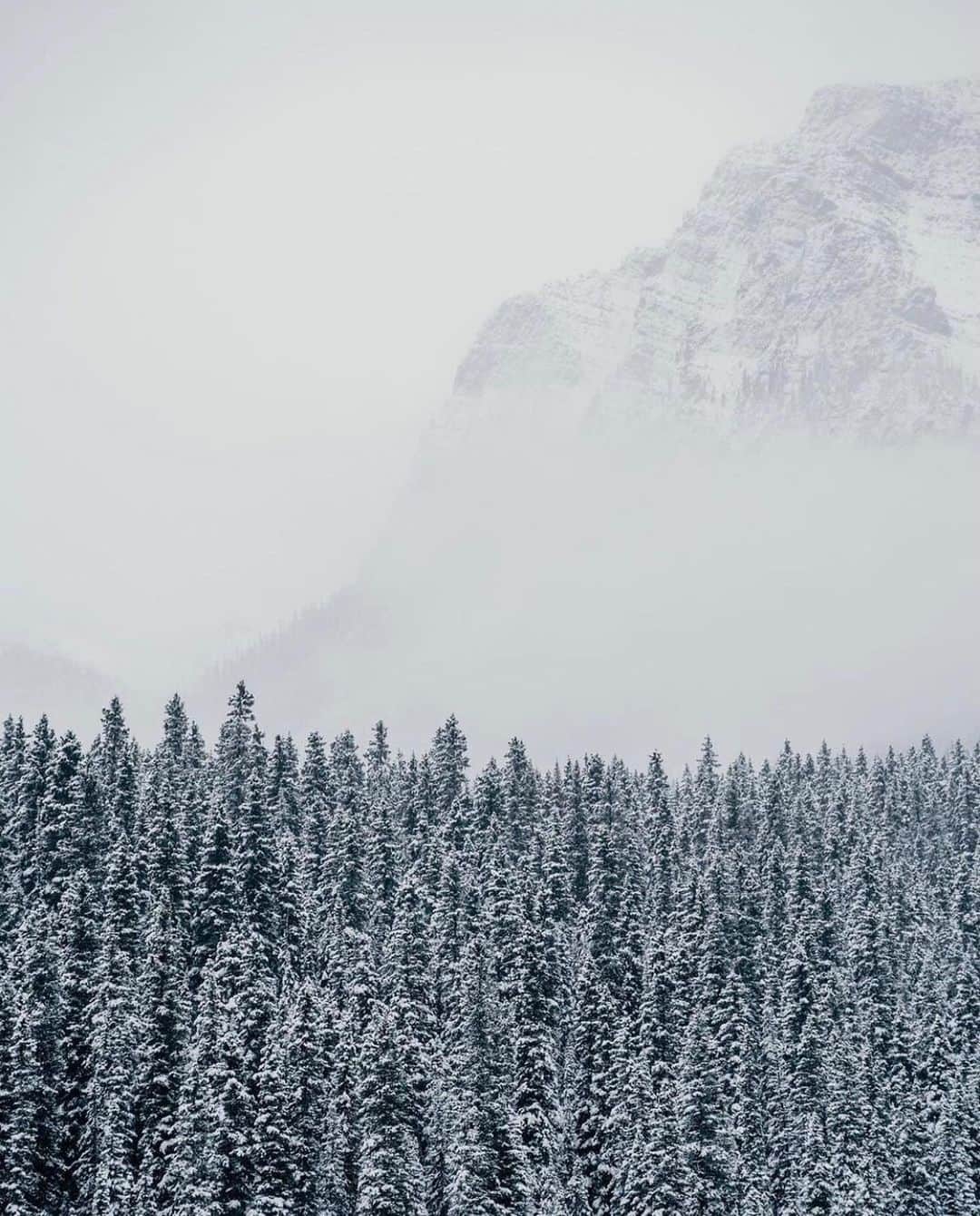 FOLKのインスタグラム：「Tag someone who would love this snowy wonderland. Today’s favorites: 1.) @calin.charles 2.) @chrishenry 3.) @jeff.n.brenner 4.) @ryanresatka 5.) @itsbigben 6.) @ludovicfremondiere」