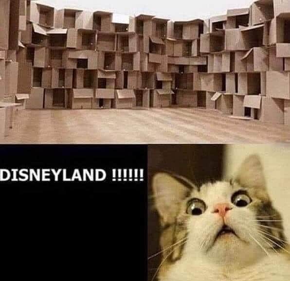 The Cats Of Instagramのインスタグラム：「📦📦📦📦📦📦📦 😻😻😻😻😻😻😻 (Credit: Unknown)」