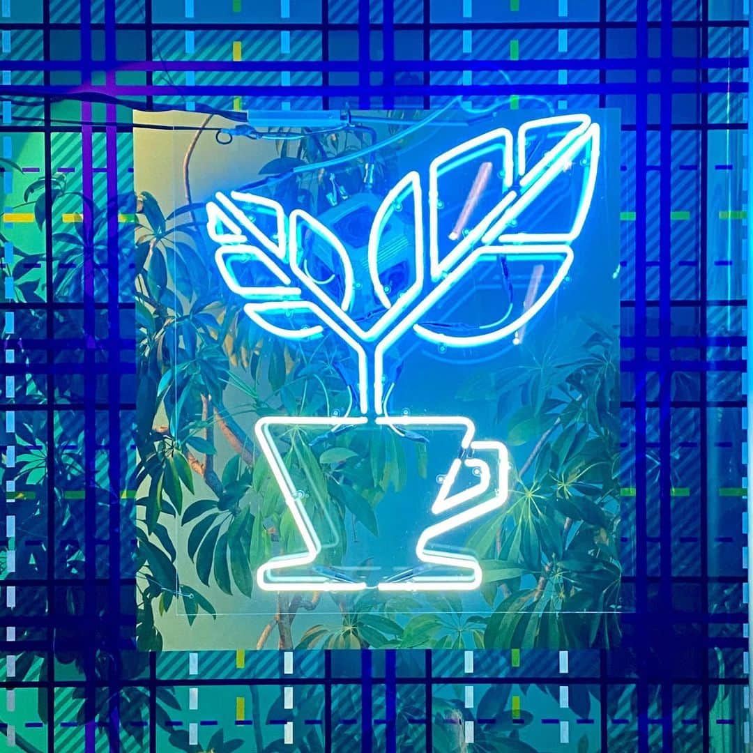 のインスタグラム：「. ✨Information from TOKYO NAKAMEGURO🌱🌈 . いよいよ11月22日(日)は、TOKYO NAKAMEGUROが4周年を迎えます🥳⤴︎︎⤴︎︎ . 限定GOODSや限定DRINK🥤✨ ワクワクする4周年になること間違いなし(^o^)v🌱 . ※TOKYO NAKAMEGUROは11月20日(金)から11月23日(月・祝)までの4日間は営業時間が10:00〜20:00までとなります🤩 . #AMAZINGCOFFEE #AMeCO #アメコ #TOKYONAKAMEGURO #Anniversary #4周年 #LIFE #Coffee」