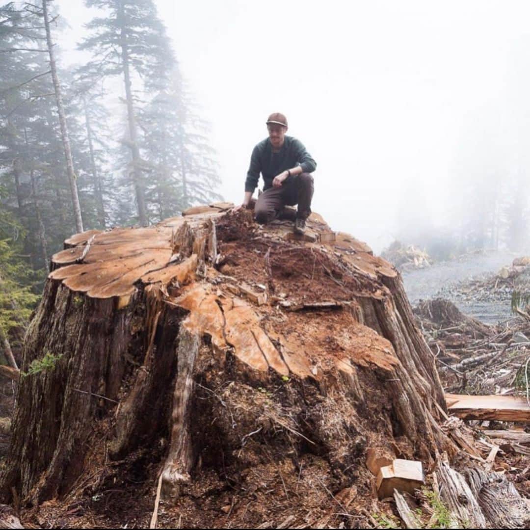 ブライアン・アダムスのインスタグラム：「Cutting down ancient trees in British Columbia? What are we living back in the 1900’s? Support @fairycreekblockade on Vancouver Island. Go to gofundme.com and look up Fairy Creek. #fairycreekblockade #treehuggers #savetheforests #saveoldgrowthforests #ecowarrior」