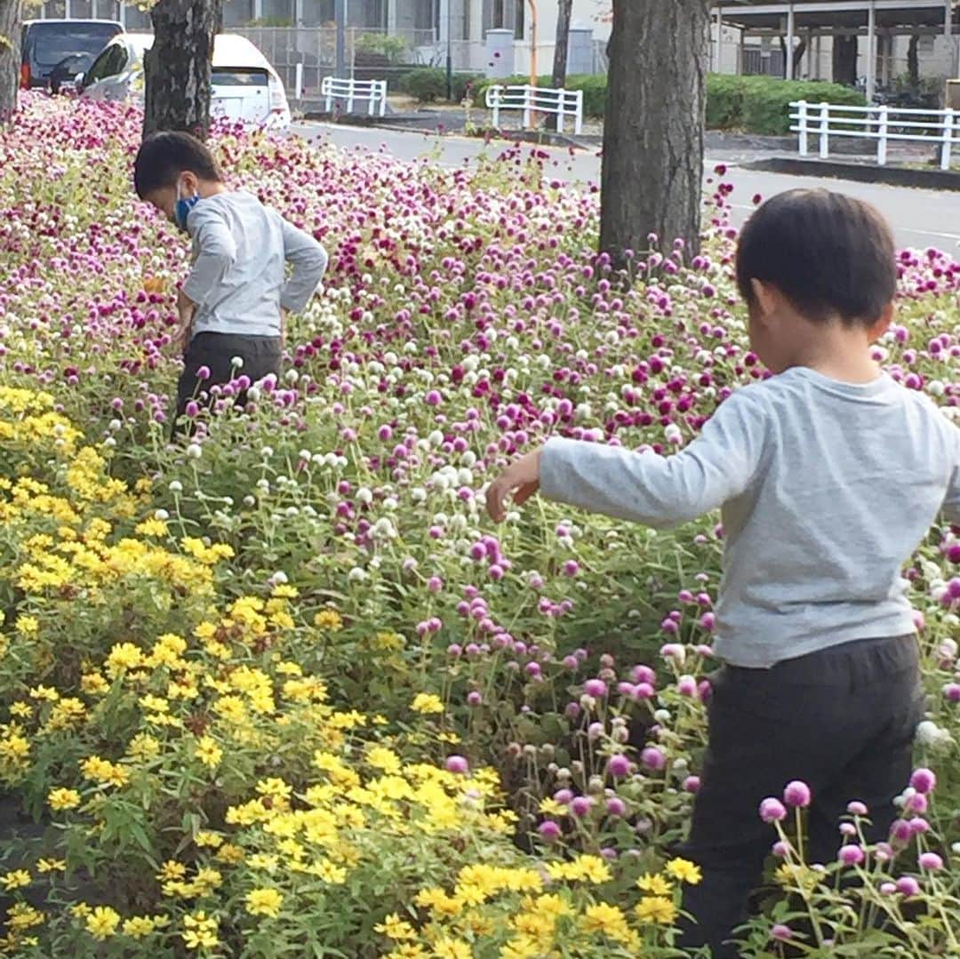 生島早織のインスタグラム