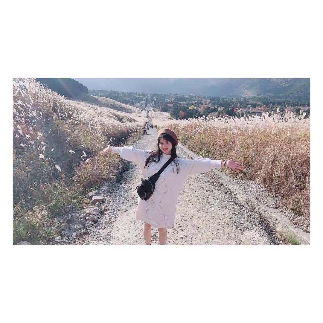 堀場美希さんのインスタグラム写真 - (堀場美希Instagram)「🌾#仙石原温泉旅行記 その1🌾  できるだけ時系列順に…！ということで！ まずはこちら〜💁‍♀️ #仙石原すすき草原 ✨✨  ずっと行きたかったんだけど意外と車ないと不便かもと思いなかなか行けずにいた場所！！  この時期にしか見られないから行けてよかった〜😆！ 楽しかったよ〜✨  周りに人が少ないのを確認して、写真撮る時だけマスク外してます😌  #仙石原温泉  #仙石原 #ススキ #🌾 #温泉旅行記」11月20日 8時32分 - miki_horiba212