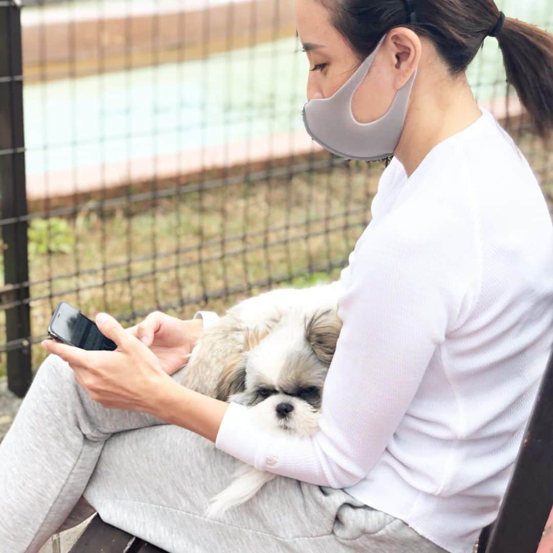 秋定麻紀子のインスタグラム：「はちは全然お散歩してくれず お外に行ってもずっとお座り。 まだ怖いのかな？  家のリビング、バルコニーでは元気で走り回って、疲れて寝てって繰り返してるからいいけど。  富士急ハイランドに行った時は 私は乗り物に乗らずずっと息子と子供たちを見守ってました。  まあそれに負けないくらい大人たちも絶叫を楽しんでた様子（笑）  みんなが笑顔なら全て良し。」