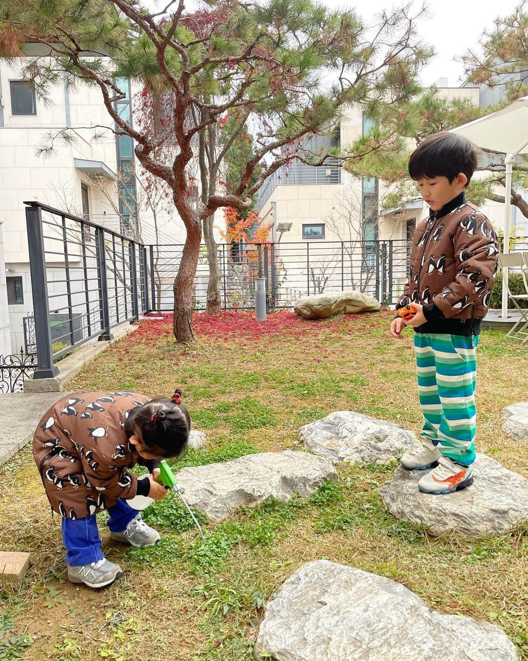 ポン・テギュさんのインスタグラム写真 - (ポン・テギュInstagram)「비가 왔지만 풀에 물 주기.. 🌱🌱🌱」11月20日 9時19分 - taegyu_bong