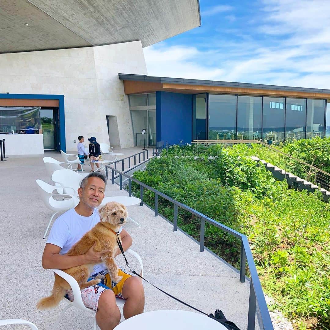 宮本亜門のグルメインスタ