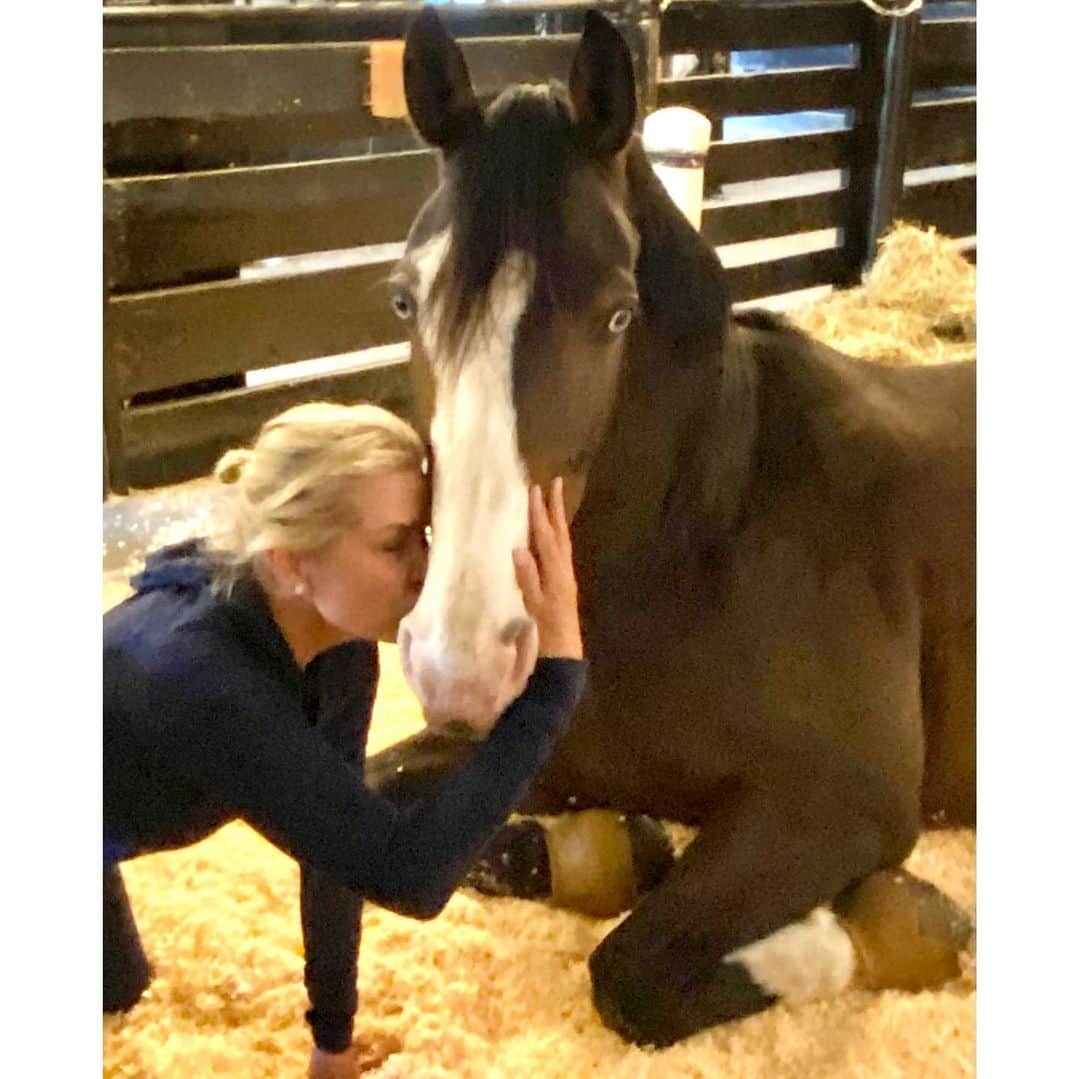 ヨランダ・ハディッドのインスタグラム：「❤️We are busy doing nothing..... #FarmLife #Quarantine」
