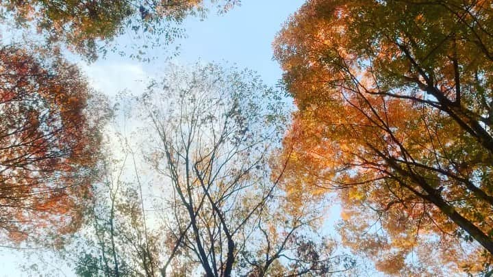 木下愛華のインスタグラム