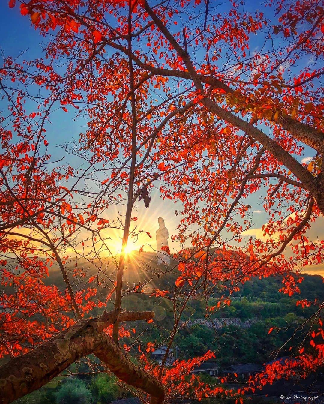 leo7000のインスタグラム：「お墓参りで小豆島の一枚 紅葉真っ盛りでした🍁🍂 IG皆さん、素敵な連休を〜♪😊👋🏻 🍺🍺✨  11/13 小豆島」