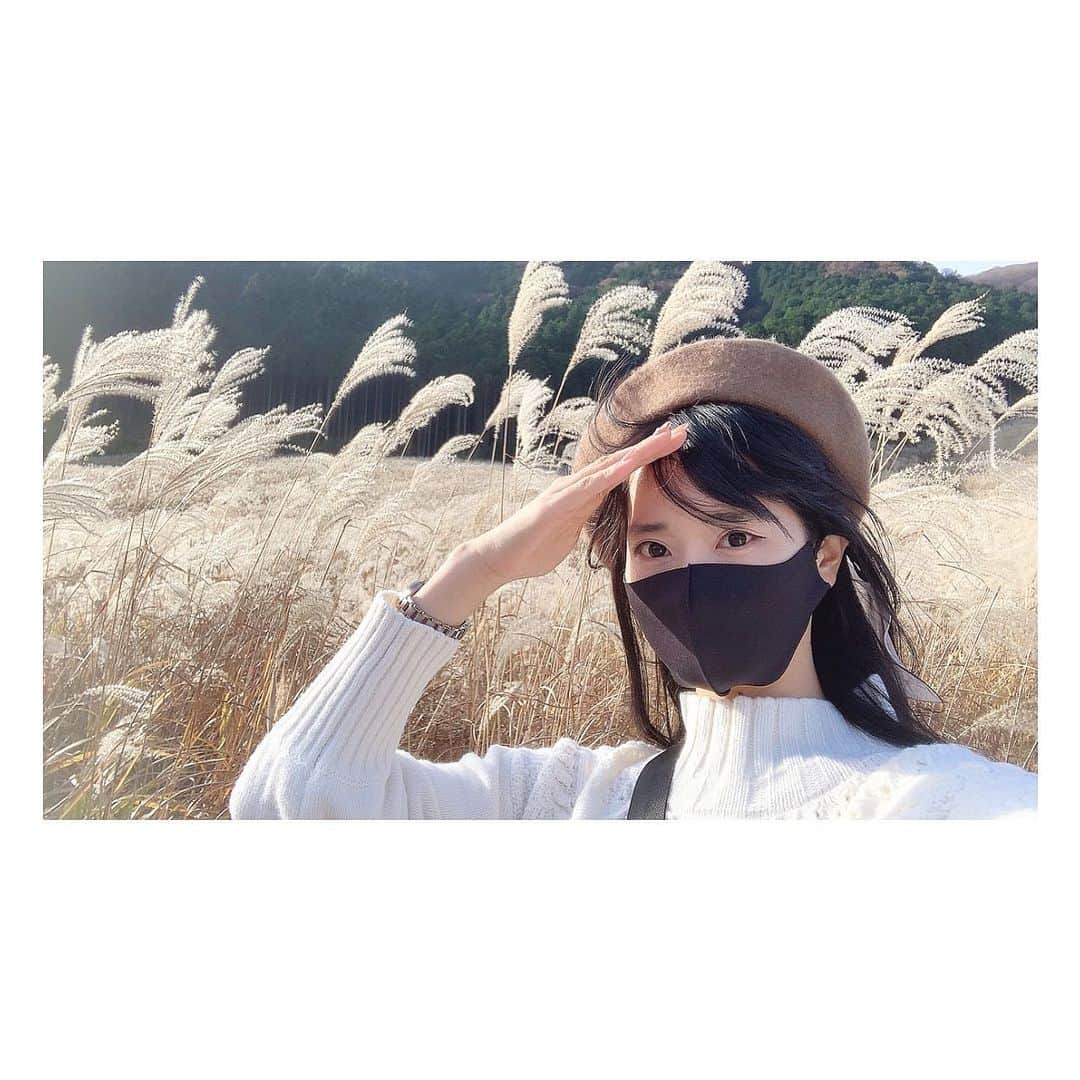 堀場美希のインスタグラム