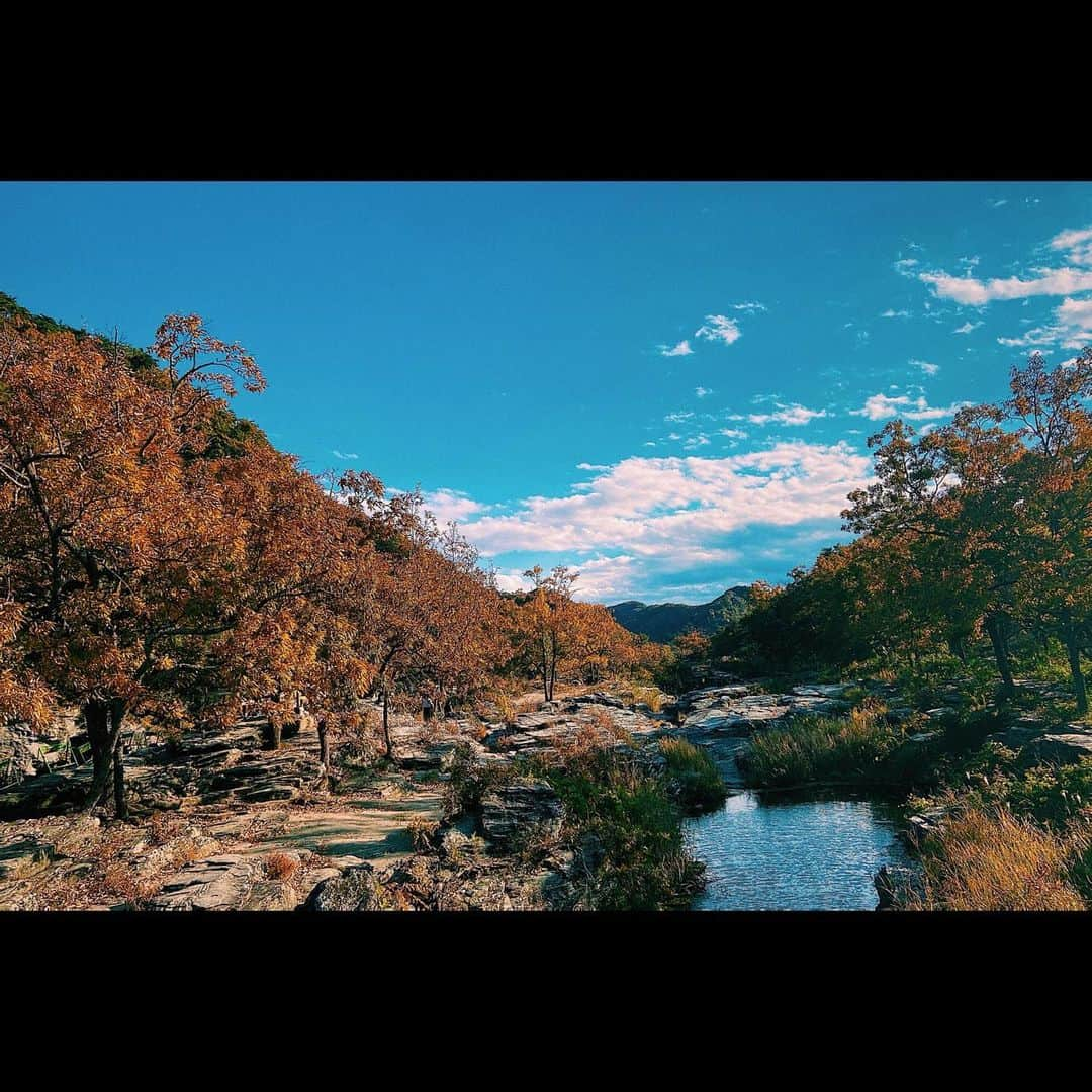 竹原聖一郎さんのインスタグラム写真 - (竹原聖一郎Instagram)「素晴らしき紅葉かな🍁 #film #photo #自然 #秩父 #長瀞」11月20日 20時19分 - shoichiro1113