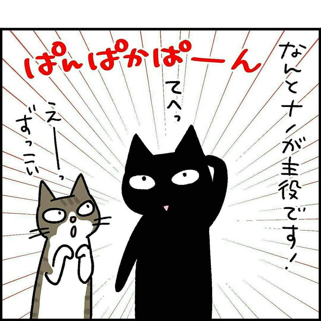 猫壱（ねこいち•ネコイチ）さんのインスタグラム写真 - (猫壱（ねこいち•ネコイチ）Instagram)「【#猫マンガ 】 ▫ いつも猫壱でご紹介している @86palpal さんのキナナノちゃんのマンガがなんと✨✨✨書籍化されます😺👏👏 ▫ ▫ 12月10日販売になります😺❤ ネット予約を開始しているそう😁👍 ▫ いつも読んでるあのエピソードがナノちゃん目線で読めちゃう素敵な一冊😺 猫壱ユーザーさんの中にたくさんいるキナナノちゃんファンの皆様❤ぜひぜひご予約くださいね✨ ▫ ▫ ▫ :::::::::#猫壱 ::::::: 猫壱は猫と人との暮らしの向上を目指して猫グッズの開発に取り組んでいます♪ ▫ 気になる方は @necoichicojp をチェックしてみてくださいね！ ▫ ▫ 【Special thank-you @86palpal 💕💕💕💕】」11月20日 20時26分 - necoichicojp