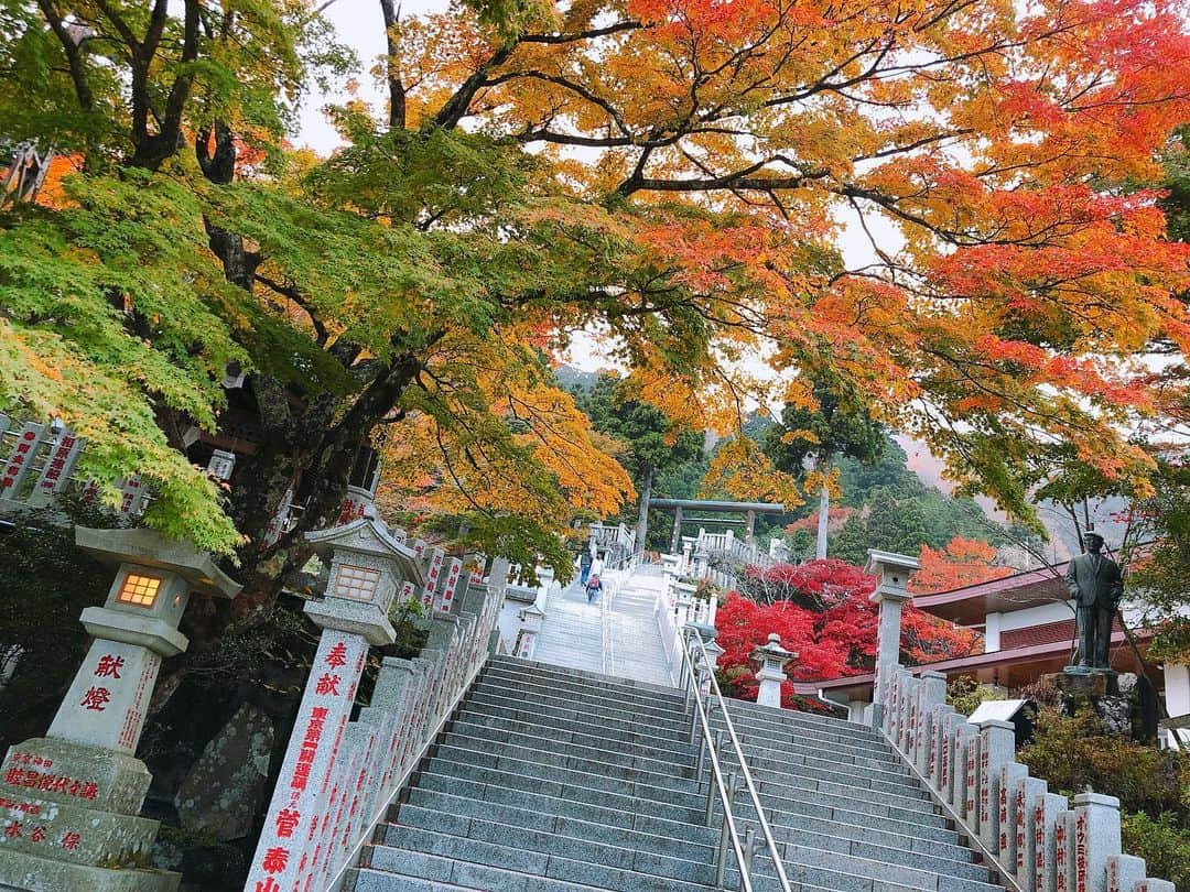 のインスタグラム：「. 🍁🍁  #秋 #紅葉 #紅葉狩り」