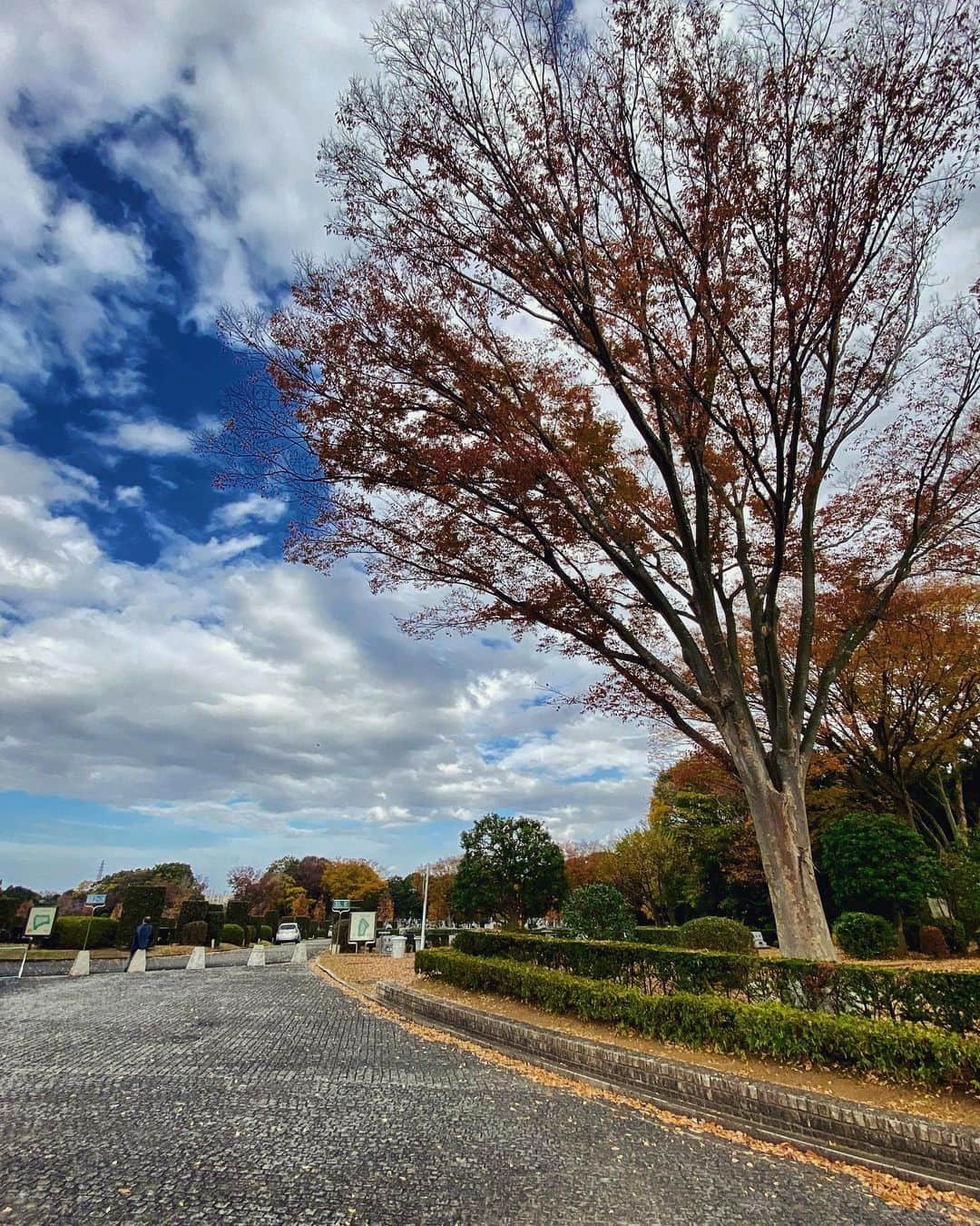 宍戸開さんのインスタグラム写真 - (宍戸開Instagram)「#streetphotography #storyofthestreet #streetoffujisawa #streetcinematography #kaishishido #iphone11pro #photography #photographer #photooftheday」11月20日 20時35分 - kaishishido