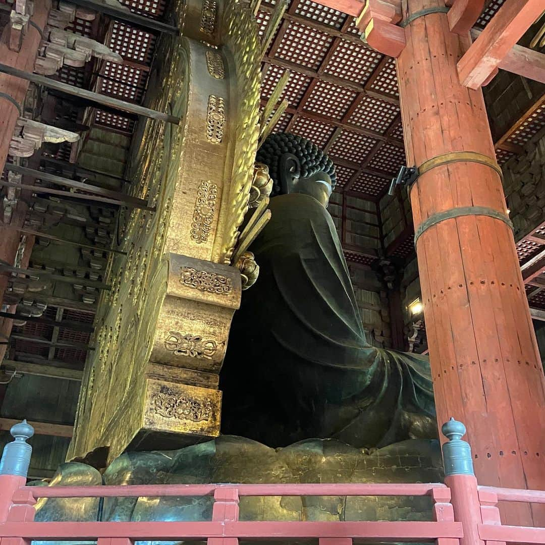 上野貴穂さんのインスタグラム写真 - (上野貴穂Instagram)「.﻿ 大仏殿の中🤓﻿ ﻿ #奈良 #東大寺 #大仏 #鴟尾 #蓮弁﻿」11月20日 20時46分 - kiho_ueno