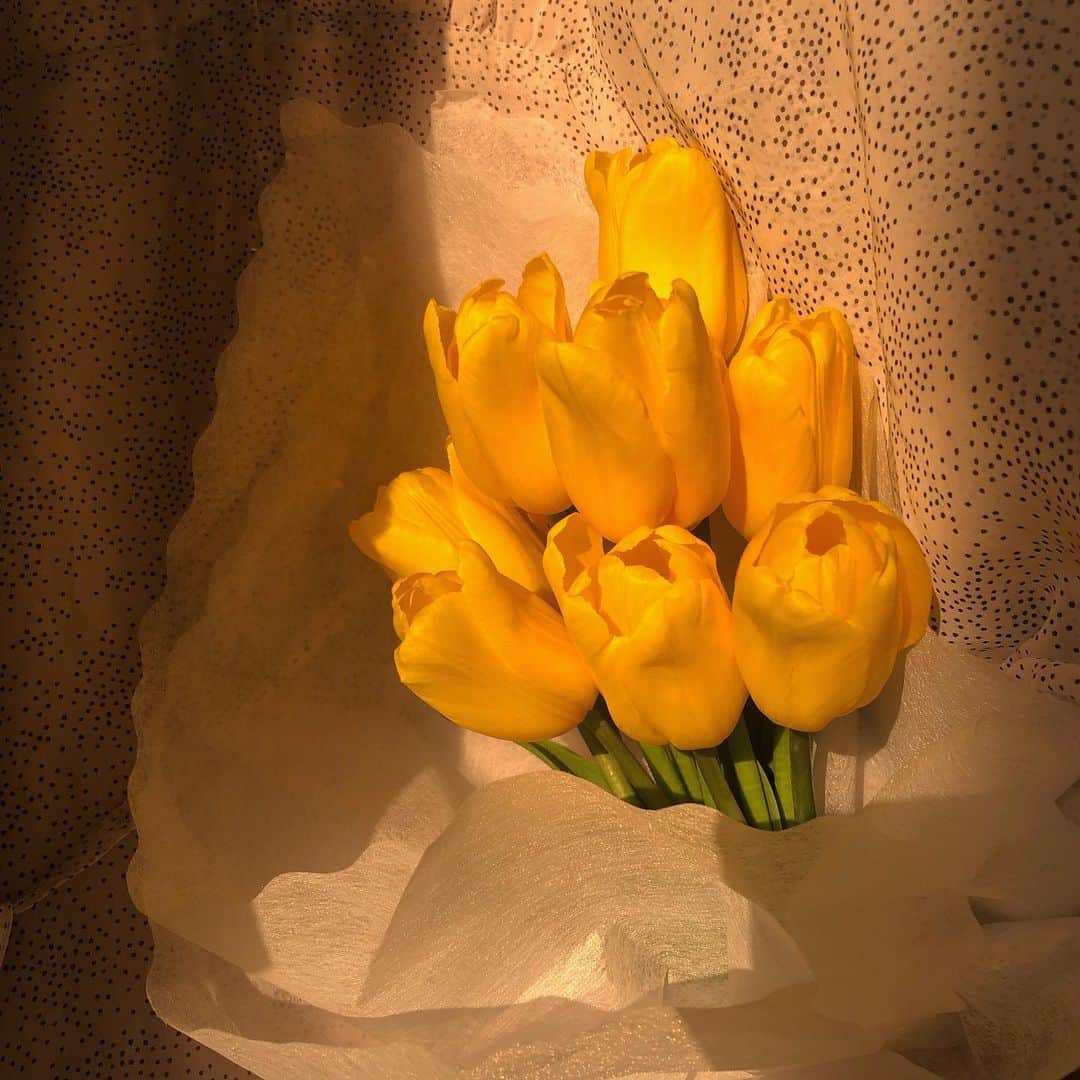 キム・ナヒさんのインスタグラム写真 - (キム・ナヒInstagram)「예쁜 노란색」11月20日 20時58分 - knhs2