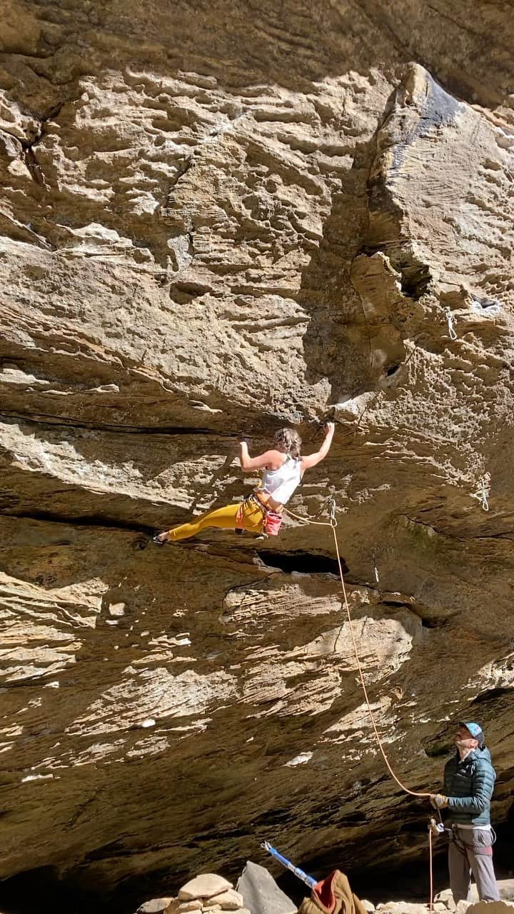 チェルシー・ルーズのインスタグラム：「Instead of dedicating this trip to a route - I changed up my goal after realizing and experiencing how Thanatopsis had changed. Yes a jug broke from that route, and it definitely seemed to make it a touch harder - and it was seeping so some of the holds were wet and slimy. Additionally though, it felt too warm for me and that route - I like conditions to be quite cold for that one - like low 40s instead of mid 60s.   I felt like it would have been somewhat detrimental for me mentally had I been stubborn and continued to pursue thana. Yes I would love to put that project to rest - but it just wasn’t the right time.   Instead I determined it would be more beneficial to work on my confidence. Admittedly my confidence has been on a crazy rollercoaster ride since returning to sport from shoulder surgery. I’m not scared of my shoulder, but am instead doubtful that I still have what I used to have simply due to the fact that I haven’t been on a mission to send a whole lot that Is challenging for me. Weird maybe but I’ll dive into this another time for ya   So instead I set out to some some 5.13+s and feel my body find flow and dig deep. And that’s what I did, and it was the right call for me and this trip   I am proud of myself for accepting this and moving through it. And for you, my friends, here’s the whole video of silky smooth for ya!   Ps. I love these pants and the ugly/awesome mustard gold color they are! How bout you?」