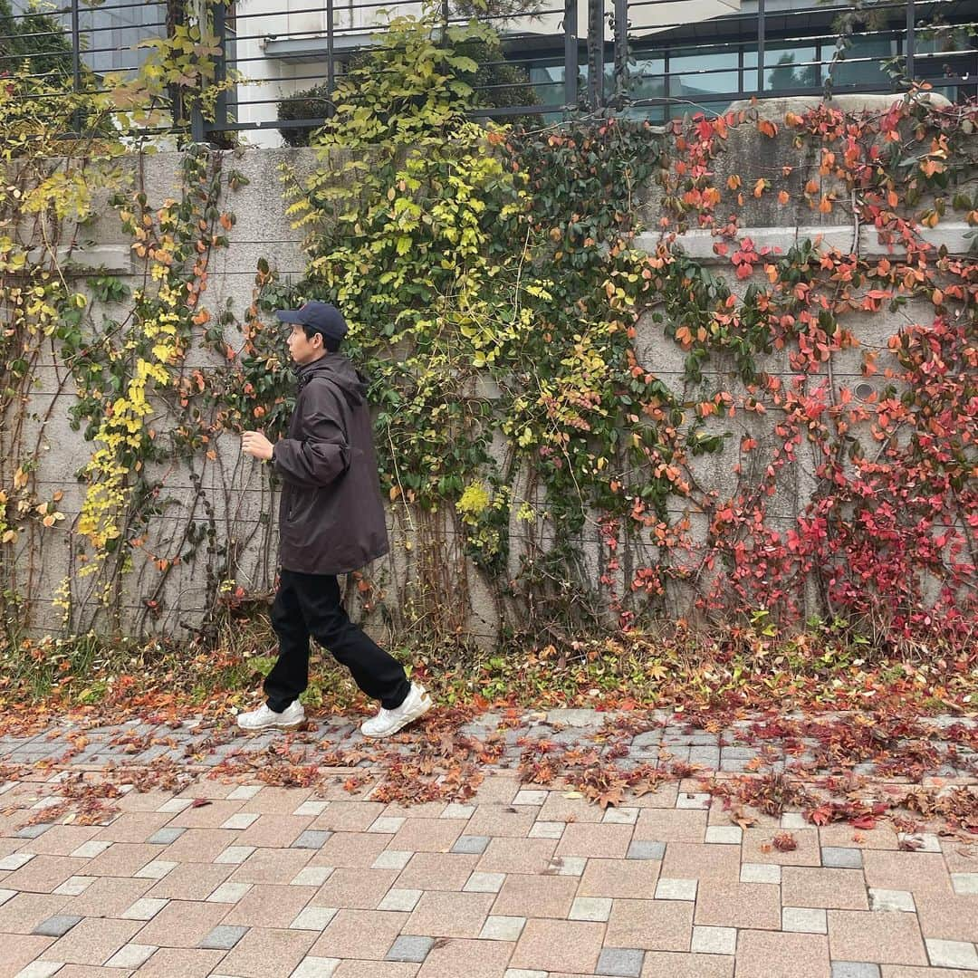 ポン・テギュさんのインスタグラム写真 - (ポン・テギュInstagram)「가을가을. 🍂🍁🍂🍁🍂🍁」11月20日 12時20分 - taegyu_bong