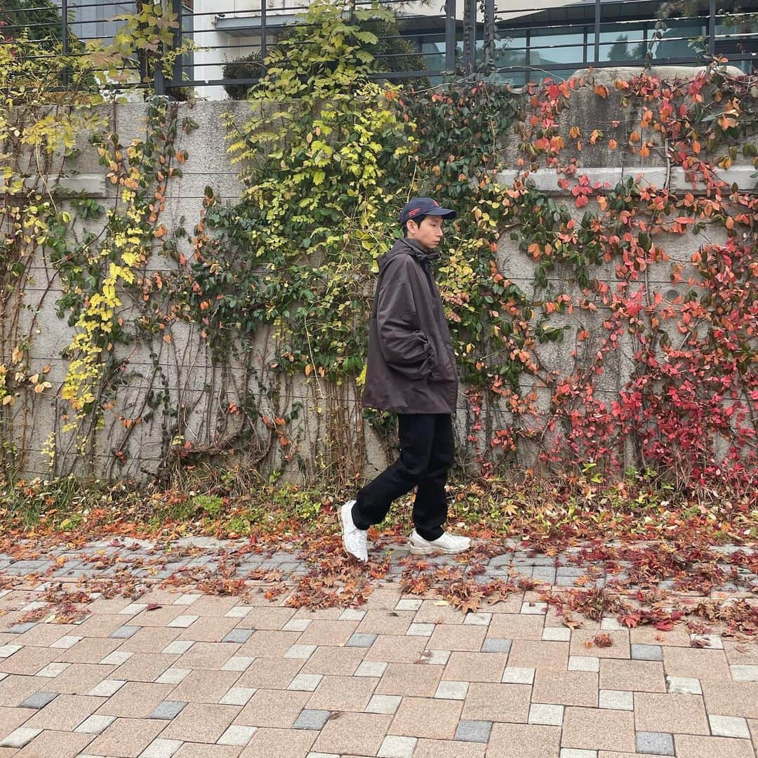 ポン・テギュさんのインスタグラム写真 - (ポン・テギュInstagram)「가을가을. 🍂🍁🍂🍁🍂🍁」11月20日 12時20分 - taegyu_bong