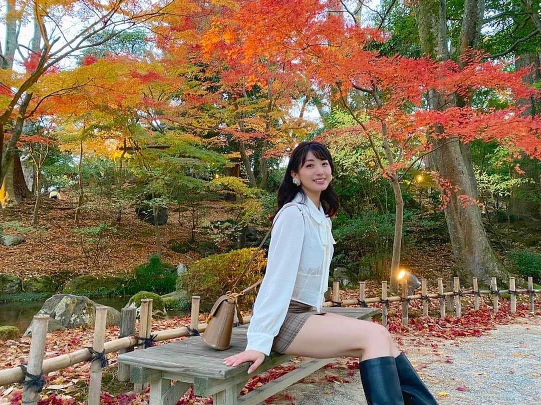 関根ささらさんのインスタグラム写真 - (関根ささらInstagram)「Japanese Autumn🍁🍂 . . #紅葉狩り をしました🍁 photo by (@maikamaimaika ) . . #紅葉 #もみじ #癒し #日本の秋 #japanesegarden #japaneseautumn #maple #mapleleaf #mapletree #japanesemaple #japanesemaples #japanesemapletree #japan #kanazawa #金沢 #金沢旅行 #兼六園 #kenrokuen #kenrokuengarden #日帰り旅行」11月20日 12時34分 - sasarasekine