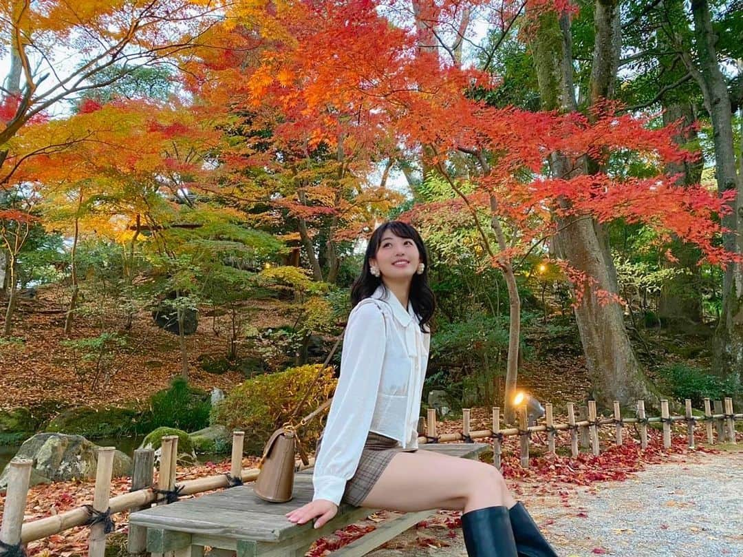 関根ささらさんのインスタグラム写真 - (関根ささらInstagram)「Japanese Autumn🍁🍂 . . #紅葉狩り をしました🍁 photo by (@maikamaimaika ) . . #紅葉 #もみじ #癒し #日本の秋 #japanesegarden #japaneseautumn #maple #mapleleaf #mapletree #japanesemaple #japanesemaples #japanesemapletree #japan #kanazawa #金沢 #金沢旅行 #兼六園 #kenrokuen #kenrokuengarden #日帰り旅行」11月20日 12時34分 - sasarasekine