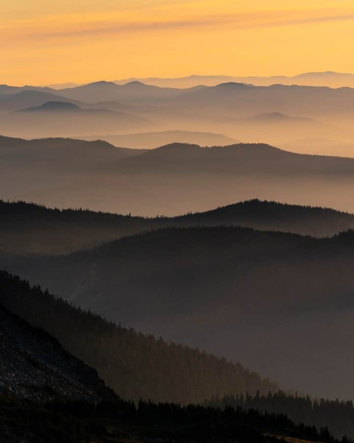National Geographic Travelさんのインスタグラム写真 - (National Geographic TravelInstagram)「Photo by @stephen_matera / A classic Cascade Range view of seemingly endless ridges at sunset. The Cascades are a coastal mountain range with wet western slopes that dry out considerably after crossing over the crest to the east slope of the mountains. This was taken on the wetter west slope of the Cascades in midsummer. Follow me @stephen_matera for more images like this from Washington and around the world. #cascademountains #pacificnorthwest #wilderness」11月20日 12時35分 - natgeotravel