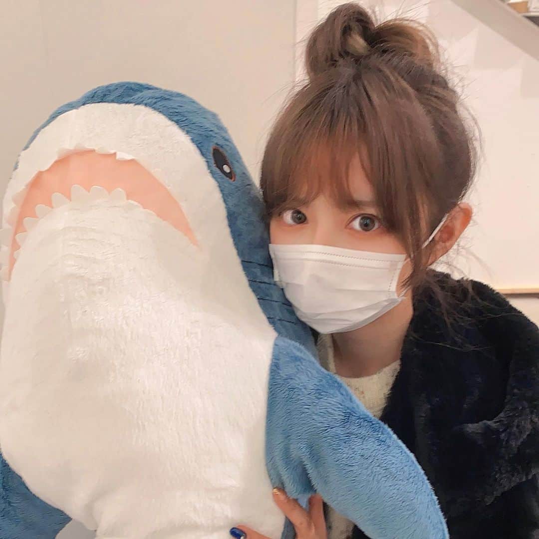 shikaのインスタグラム