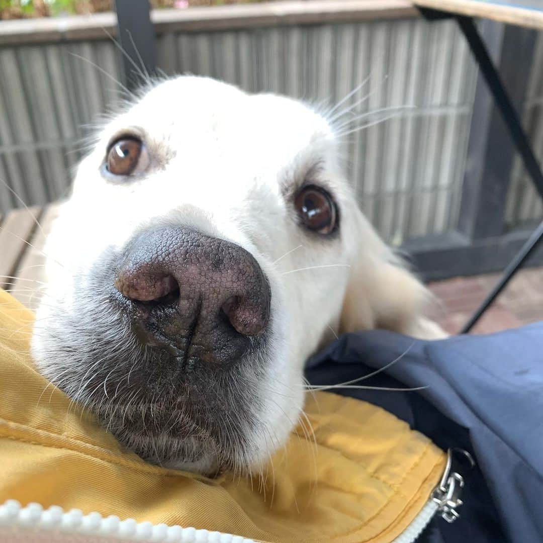 P太郎ママのグルメインスタ