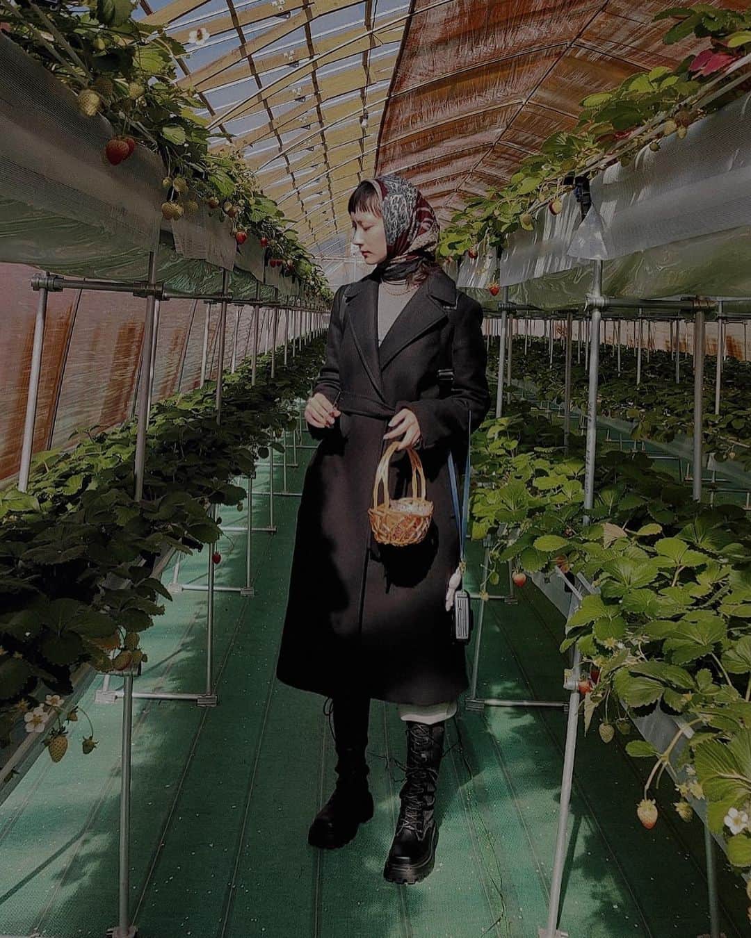IA（アイエー）さんのインスタグラム写真 - (IA（アイエー）Instagram)「苺を摘む女。」11月20日 13時02分 - iaiaiaz5