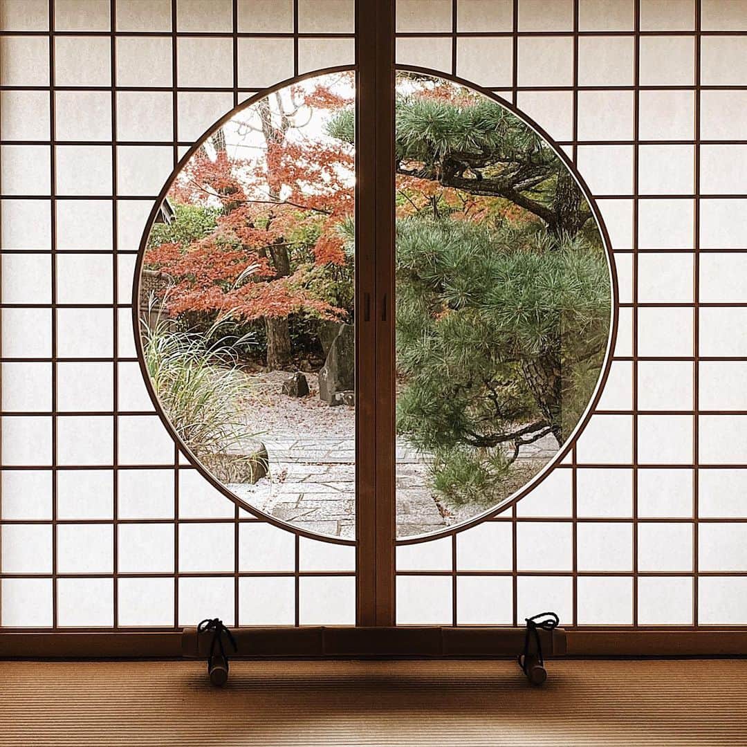三浦大地さんのインスタグラム写真 - (三浦大地Instagram)「光明院  住職の藤田さんにお会いして色々なことを教えて頂いた。  「悟りに正解は無いですが、覚悟という言葉に悟るという文字が入っていますよね。」  なんか奥にキタ。  #光明院 #京都」11月20日 13時10分 - daichi_1127
