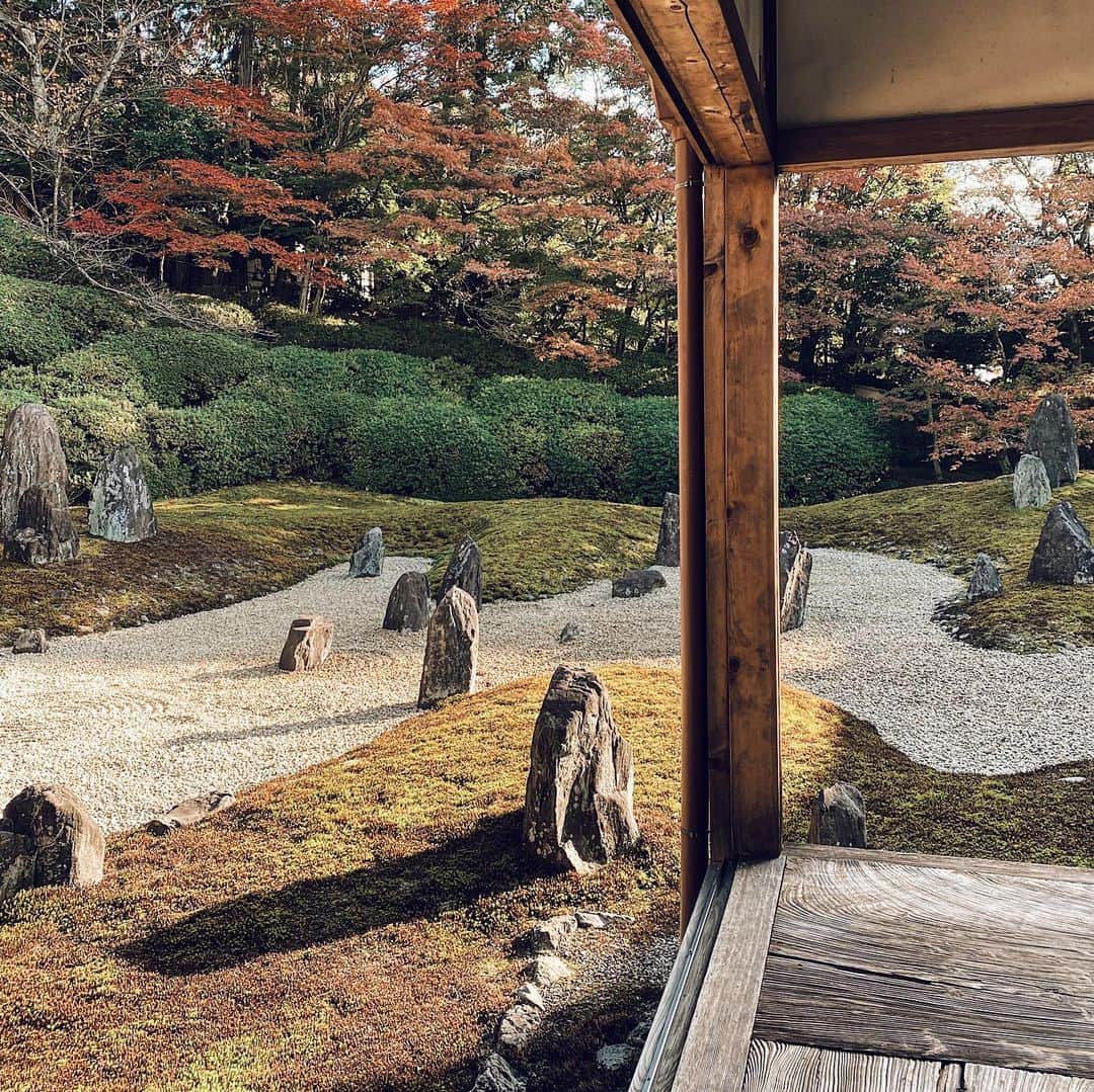 三浦大地さんのインスタグラム写真 - (三浦大地Instagram)「光明院  住職の藤田さんにお会いして色々なことを教えて頂いた。  「悟りに正解は無いですが、覚悟という言葉に悟るという文字が入っていますよね。」  なんか奥にキタ。  #光明院 #京都」11月20日 13時10分 - daichi_1127