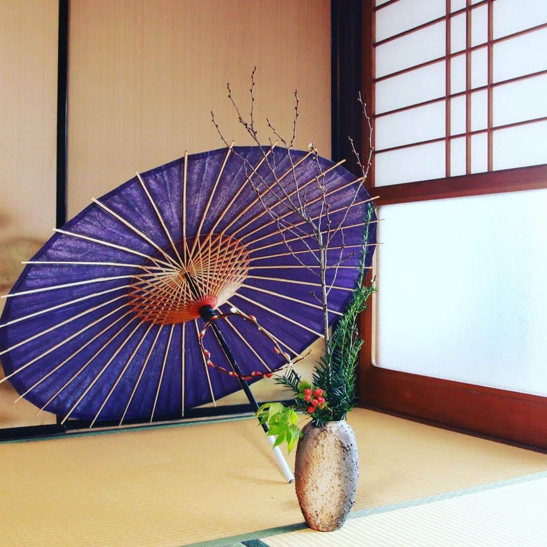 宮田麺児さんのインスタグラム写真 - (宮田麺児Instagram)「言葉なんかいらんよね。 伝えたい事　感じて それ　花の言葉やから。  #花いけ#生け花 #花言葉#感じて」11月20日 13時11分 - miyatamenji