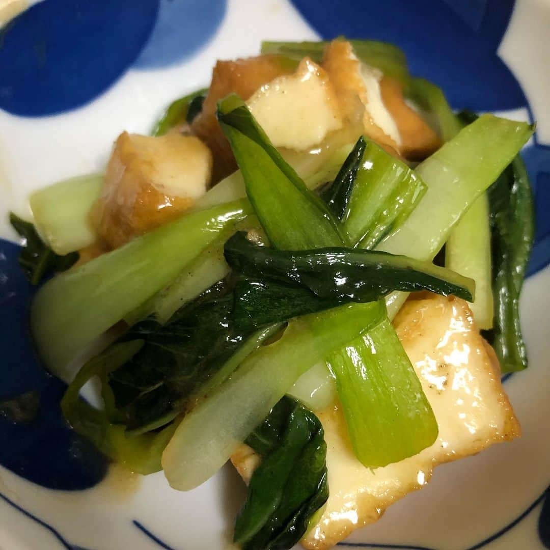 マグナム北斗さんのインスタグラム写真 - (マグナム北斗Instagram)「厚揚げと青梗菜の炒め煮。」11月20日 14時13分 - magnum0316