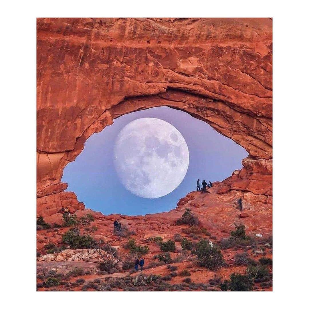 ティーバッグスさんのインスタグラム写真 - (ティーバッグスInstagram)「Eye see you ✨ #MagicalSpaces #MISAworld」11月20日 14時45分 - misa_losangeles