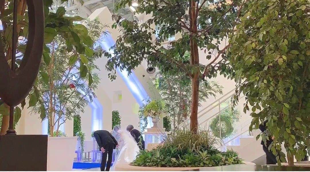 ルミアモーレのグルメインスタ