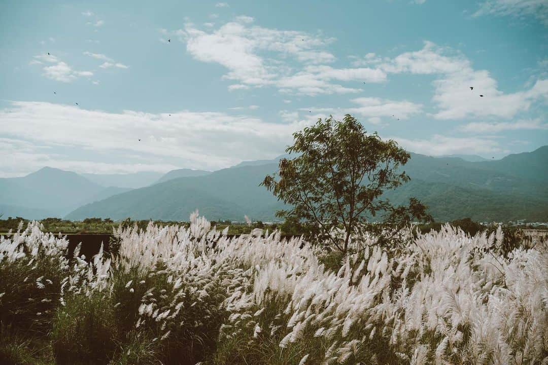 李翔のインスタグラム：「#石崗﻿ ﻿ 眼前的風景﻿ 是既往本就存在的美麗﻿ 它是故事，也是通往想像的藍色大門﻿ 輕聲感受的是美麗﻿ 細語感受的是生命﻿ ﻿ 我只是喜歡沒有人的地方﻿ 在那裡，有我對家的想像﻿ 或許有一天﻿ 這裡的風景接納了你﻿ 感傷也變奢侈﻿ 煩惱也變多餘﻿ ﻿ ﻿ #AsiaMiles #亞洲萬里通 #哩享人生 #用哩程看見美好生活﻿ #不哩性大人的任性哲學﻿ ﻿ ﻿ ﻿」