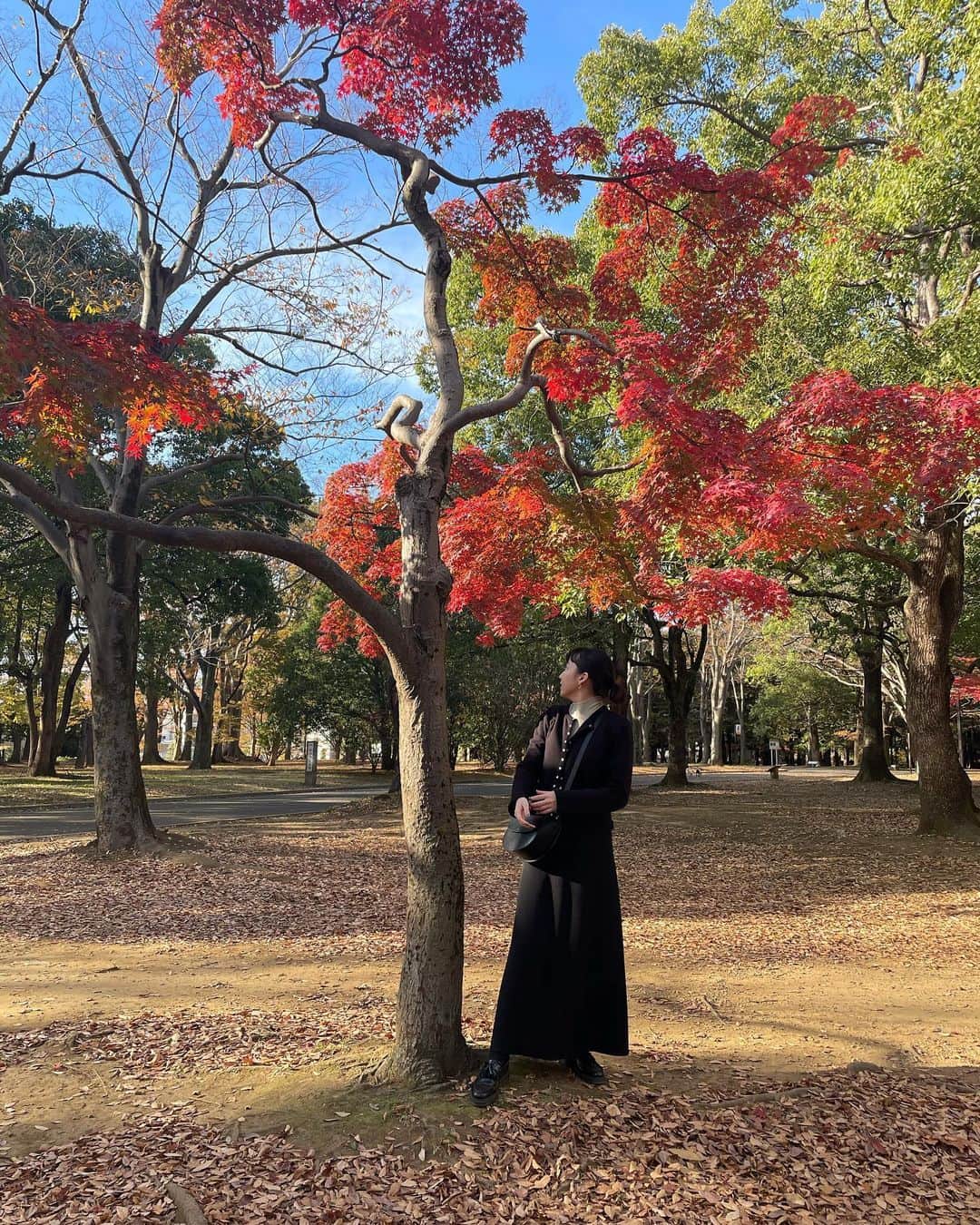 勝田里奈さんのインスタグラム写真 - (勝田里奈Instagram)「ギリギリ紅葉🍁」11月20日 15時55分 - rinakatsuta