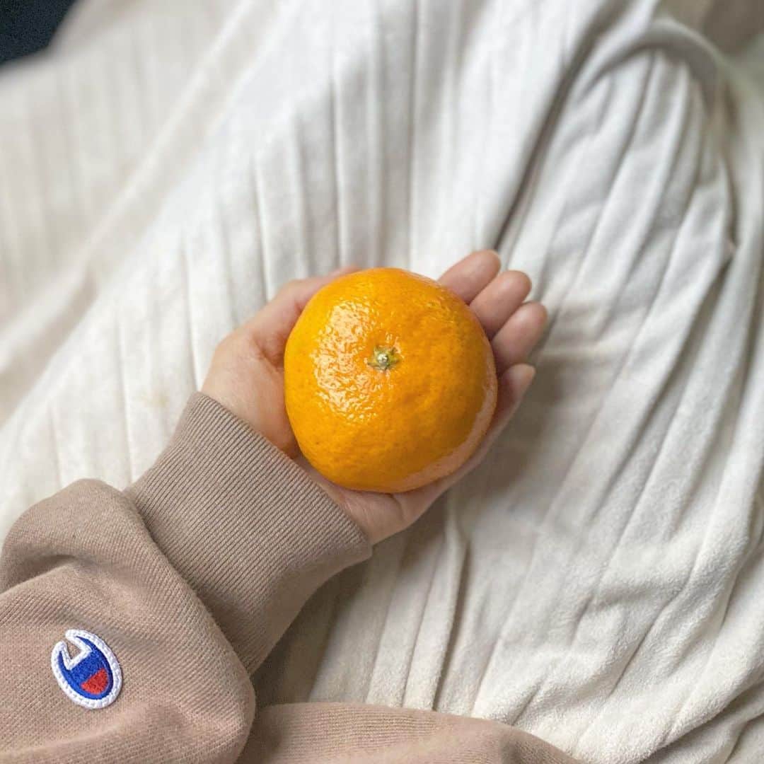 ウォン・ジナのインスタグラム：「올해 첫 귤🍊」