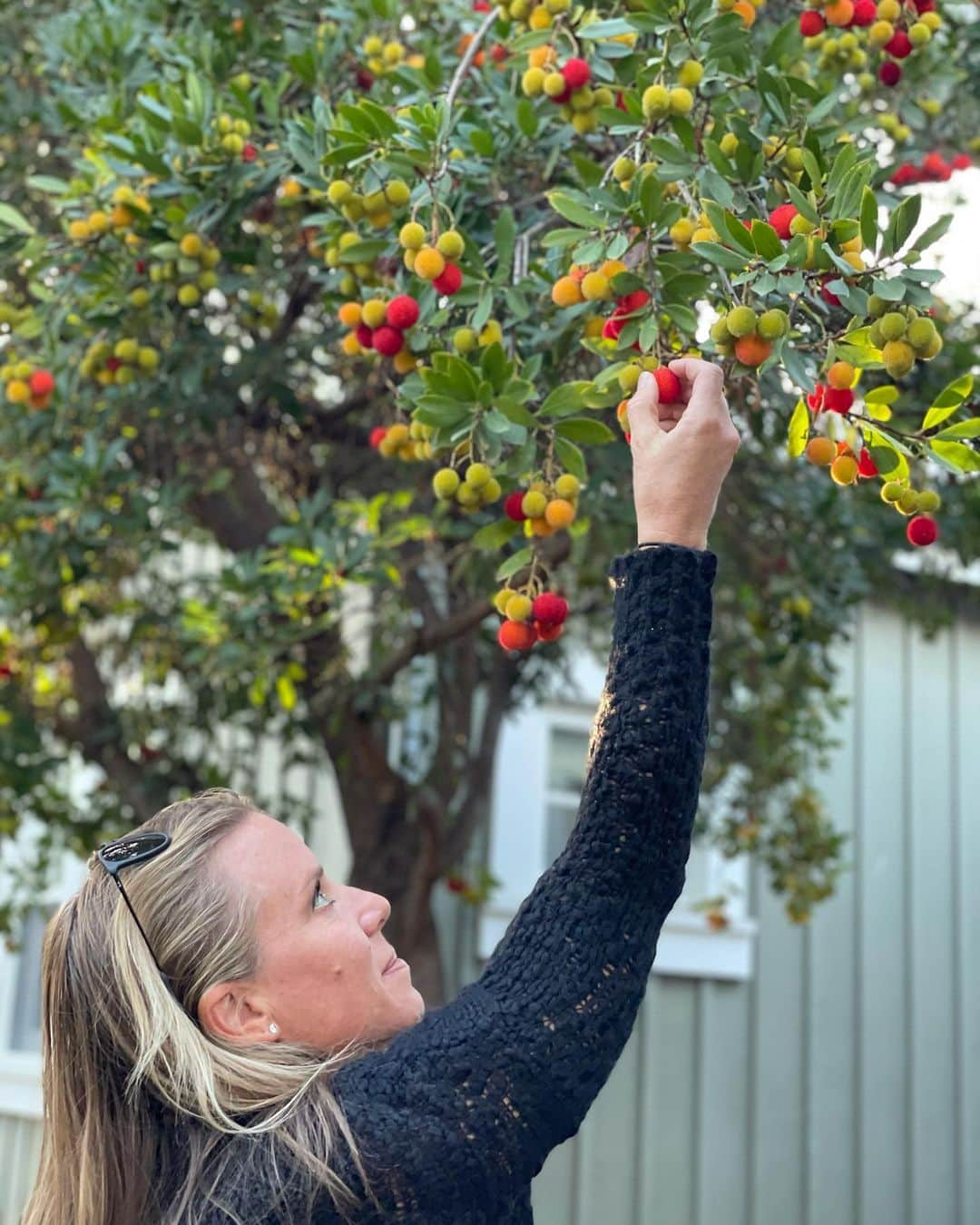 ダニカ・パトリックさんのインスタグラム写真 - (ダニカ・パトリックInstagram)「My baby is 11 and has grown to 3 liters! Proud mom. 🙌🏼 • As they say it takes a village to raise a child! @tracymarie_81 and @fayardwines work so hard to make @somniumwine a special and delicious work of art. And our special helper on set today was @stephalvorson! Because if you’re going to napa, bring a friend! And climb trees for figs! And eat fruit you’re not sure is safe. 😬 And play life size checkers (that we almost forgot how to play). 🤪」11月20日 16時17分 - danicapatrick