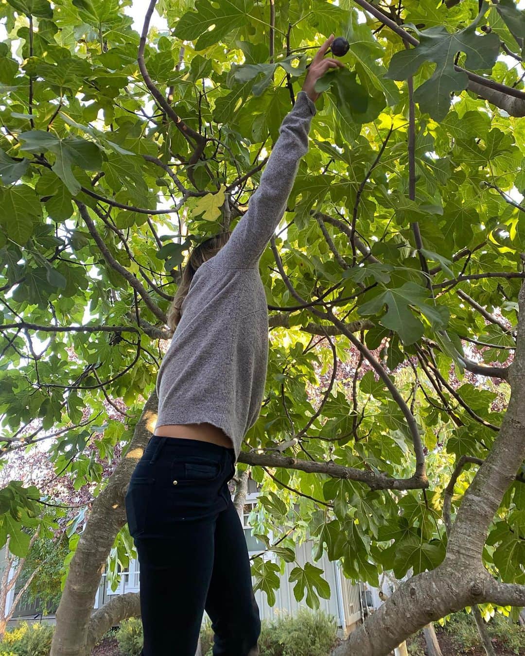 ダニカ・パトリックさんのインスタグラム写真 - (ダニカ・パトリックInstagram)「My baby is 11 and has grown to 3 liters! Proud mom. 🙌🏼 • As they say it takes a village to raise a child! @tracymarie_81 and @fayardwines work so hard to make @somniumwine a special and delicious work of art. And our special helper on set today was @stephalvorson! Because if you’re going to napa, bring a friend! And climb trees for figs! And eat fruit you’re not sure is safe. 😬 And play life size checkers (that we almost forgot how to play). 🤪」11月20日 16時17分 - danicapatrick