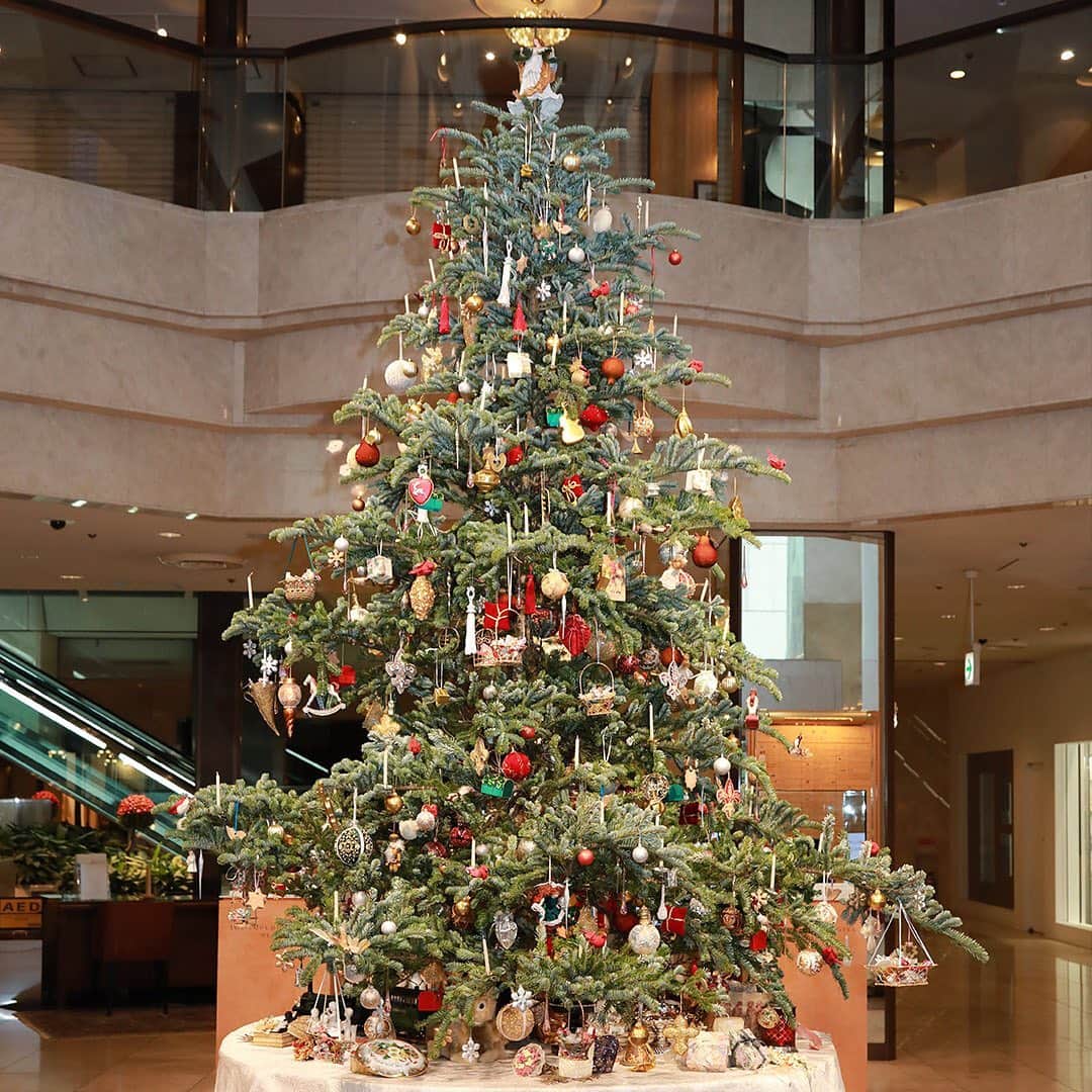 Imperialhotel_jp_帝国ホテル 公式さんのインスタグラム写真 - (Imperialhotel_jp_帝国ホテル 公式Instagram)「【帝国ホテルプラザ 東京 クリスマスフェア2020開催中】 帝国ホテルプラザ 東京では、12月25日（金）までクリスマスフェアを開催しております。 今年は日英交流年にちなみ、『ヴィクトリア女王とアルバート公のクリスマス』と題し、1840年に英国王室に初めて飾られたクリスマスツリーを再現展示しております。また、3階特設会場では『英国王室にまつわる宝飾品展』を12月13日（日）まで開催。ヴィクトリア女王直筆の手紙が添えられたペンダントをはじめ、ダイアナ元妃が着用したリングなど約20点をご覧いただけます。ぜひお立ち寄りください。 詳細は、 @imperialhotel_jp_official プロフィールURL（公式HP）より「帝国ホテル プラザ」へ。  #imperialhoteljp #imperialhotel #imperialhoteltokyo #japan #tokyo #hibiya #ginza #gototravel #travellermade #imperialhotelplaza #Christmas #Xmas #christmastree #xmastree  #帝国ホテル #帝国ホテル東京 #東京 #日比谷 #銀座 #gotoトラベル #クリスマス #帝國飯店 #帝國飯店東京 #日本 #임페리얼호텔 #임페리얼호텔도쿄 #일본 #도쿄카페」11月20日 17時08分 - imperialhotel_jp_official