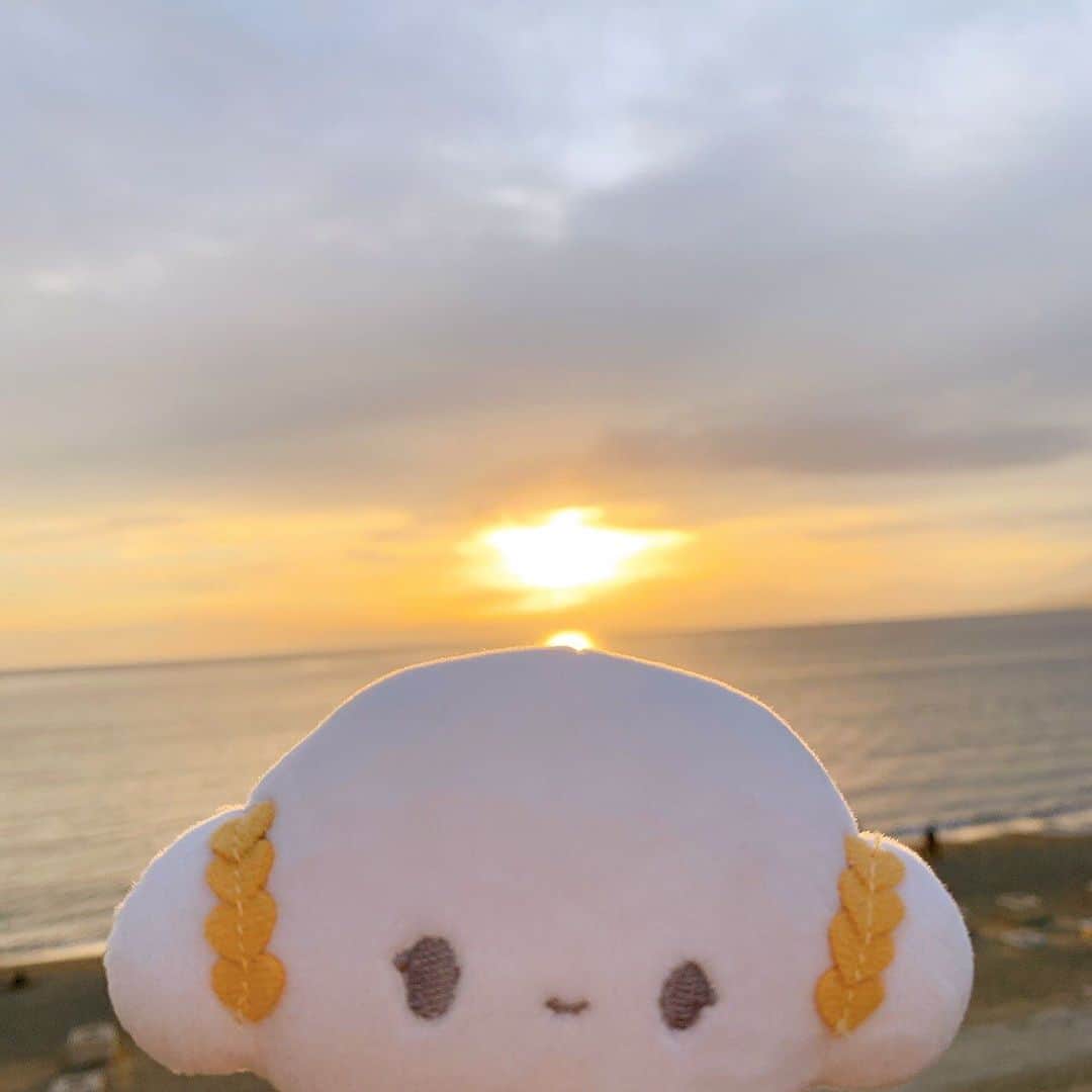 こぎみゅん（サンリオ）のインスタグラム：「太陽さん、ばいばいみゅん･･ また明日みゅん･･！☀️  #サンリオ #キャラクター #小麦粉の妖精 #こぎみゅん #sanrio #character #cogimyun #夕日」