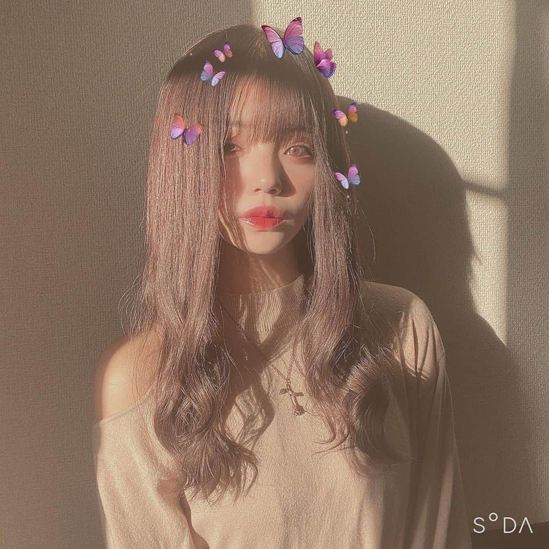 大橋あかりさんのインスタグラム写真 - (大橋あかりInstagram)「蝶々と色素薄いメイクにしてくれるSODAのフィルタかわいい𓂃໒꒱ ・ #SODA #盛り方は自分次第」11月20日 17時33分 - apple_8ss