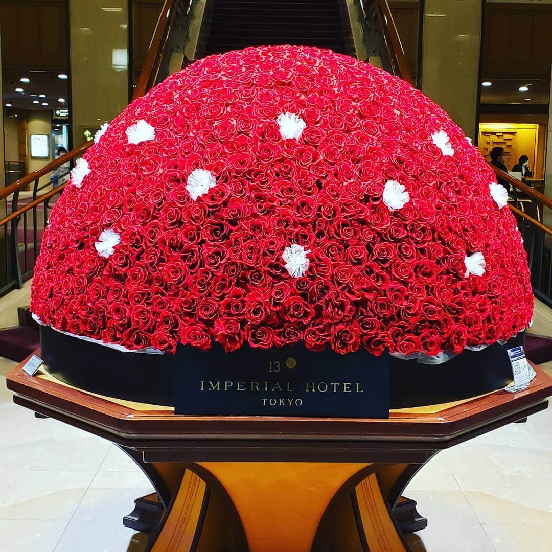 梅田陽子さんのインスタグラム写真 - (梅田陽子Instagram)「今月は薔薇！  #薔薇#rose #美しい花#帝国ホテル#imperialhotel」11月20日 17時54分 - yokoumeda