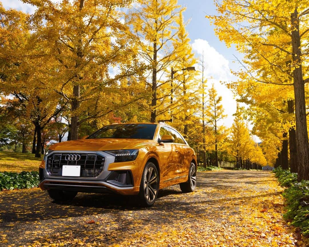 アウディ ジャパンさんのインスタグラム写真 - (アウディ ジャパンInstagram)「市街地からオフロードまで、あらゆる道をパワフルに走破するAudi Q8。 黄金色に輝く落ち葉の絨毯は、Audi Q8のために作られたレッドカーペット。  #Audi #AudiQ8 #アウディQ8 #Audijapan #アウディ #carwithoutlimits #carsofinstagram #Audiworld #Audigenic #車好きな人と繋がりたい #銀杏 #あづま総合運動公園 #秋 #Autumn #秋の空 #秋の風景 #ドライブ」11月20日 18時00分 - audijapan